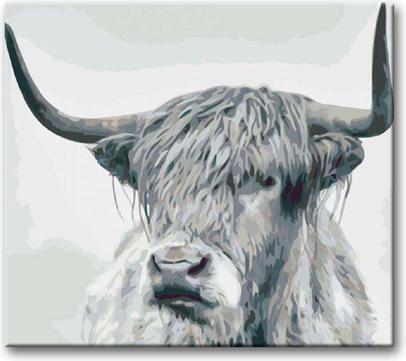 zuty Malování podle čísel - ČERNOBÍLÝ BUVOL PŘÍMÝ POHLED - Rozměr: 40x50 cm, Rámování: Varianta: bez rámu a bez vypnutí plátna - obrázek 12
