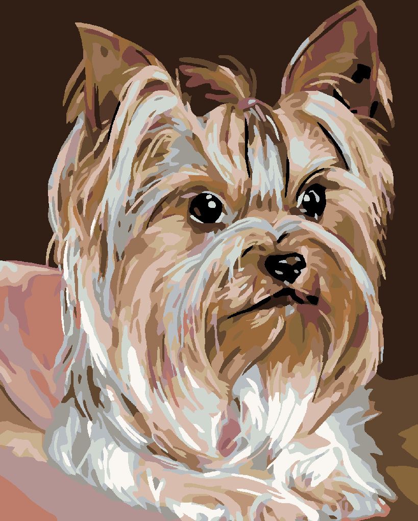 zuty Malování podle čísel - JORKŠÍRKA - Rozměr: 40x50 cm, Rámování: Varianta: vypnuté plátno na rám - obrázek 4