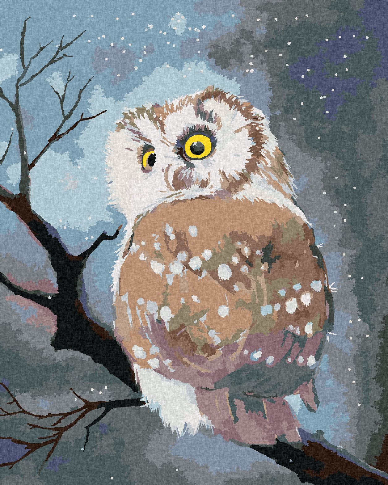 zuty Malování podle čísel - ZIMNÍ SOVA - Rozměr: 40x50 cm, Rámování: Varianta: vypnuté plátno na rám - obrázek 1