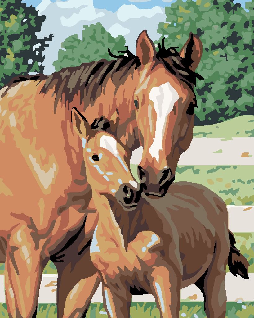 zuty Malování podle čísel - KOBYLA S HŘÍBĚTEM - Rozměr: 40x50 cm, Rámování: Varianta: bez rámu a bez vypnutí plátna - obrázek 17