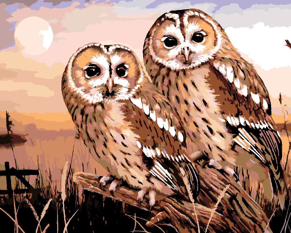 zuty Malování podle čísel - SOVY - PUŠTÍK OBECNÝ (HOWARD ROBINSON) - Rozměr: 40x50 cm, Rámování: Varianta: bez rámu a bez vypnutí plátna - obrázek 6
