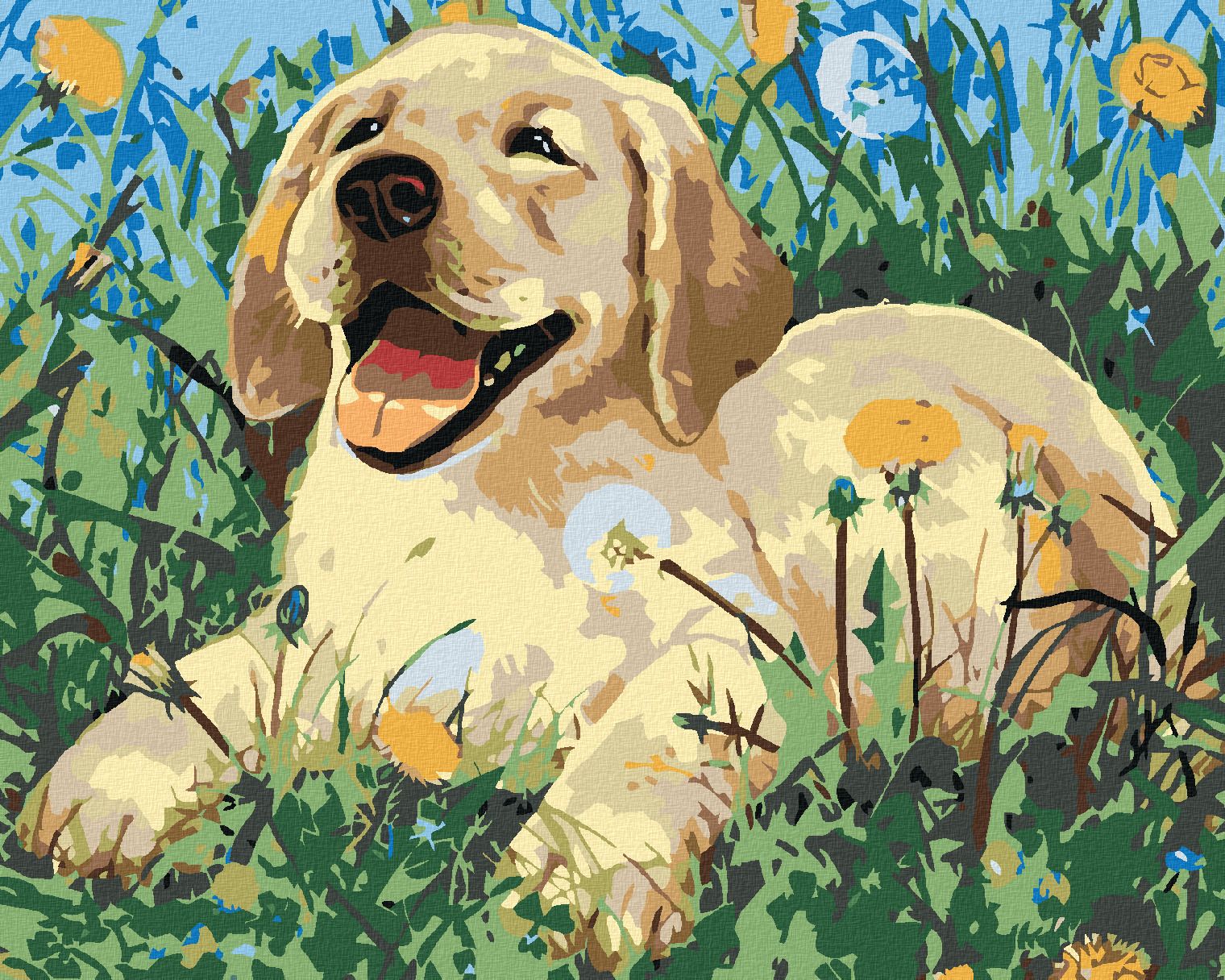 zuty Malování podle čísel - ŠTĚNĚ MEZI PAMPELIŠKAMI - Rozměr: 40x50 cm, Rámování: Varianta: vypnuté plátno na rám - obrázek 1