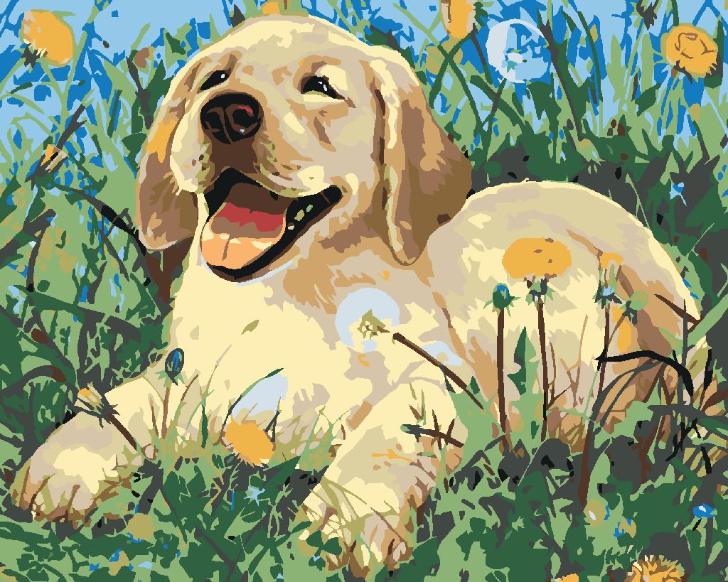 zuty Malování podle čísel - ŠTĚNĚ MEZI PAMPELIŠKAMI - Rozměr: 40x50 cm, Rámování: Varianta: vypnuté plátno na rám - obrázek 6