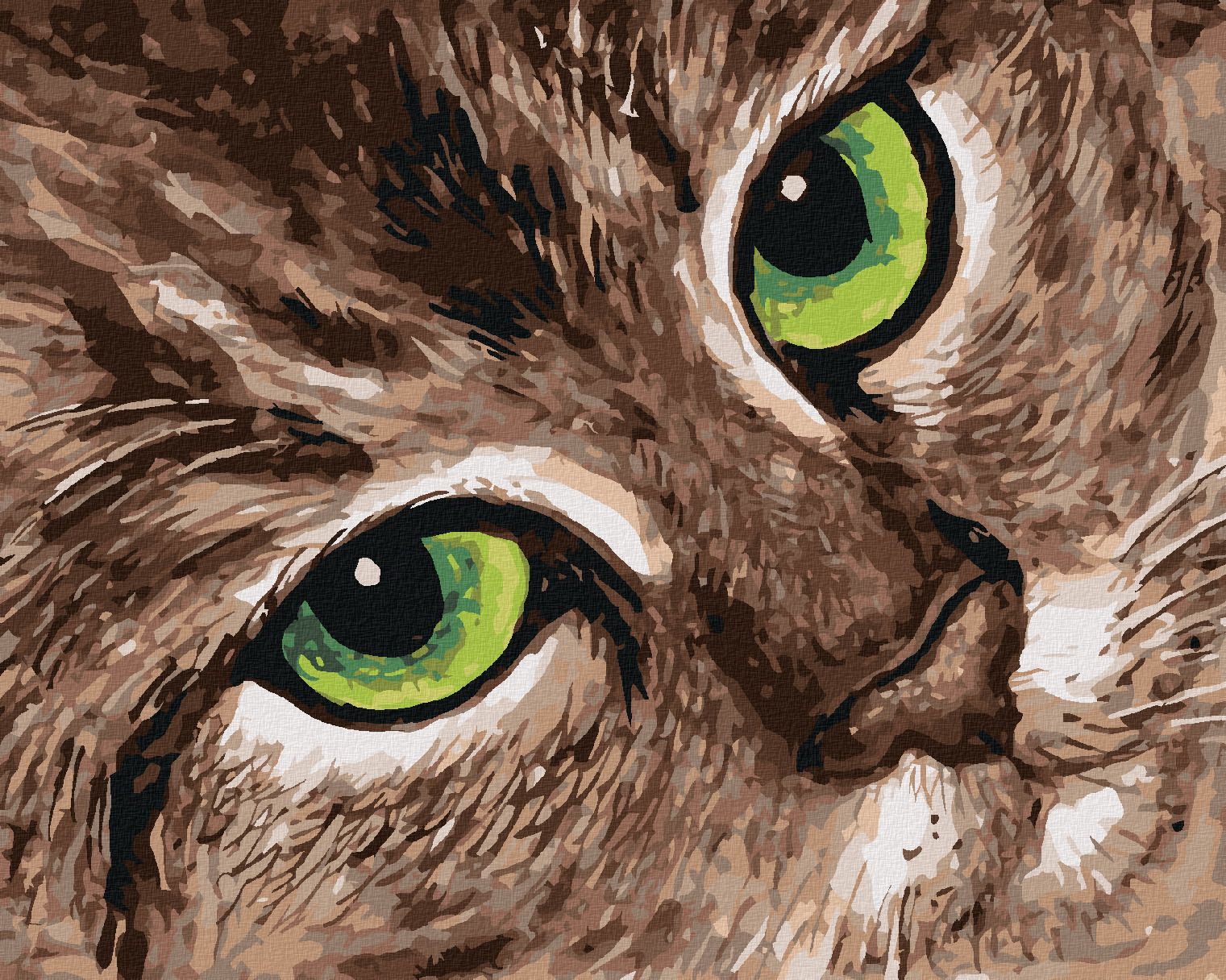 zuty Malování podle čísel - KOČKA A ZELENÉ OČI - Rozměr: 40x50 cm, Rámování: Varianta: bez rámu a bez vypnutí plátna - obrázek 1