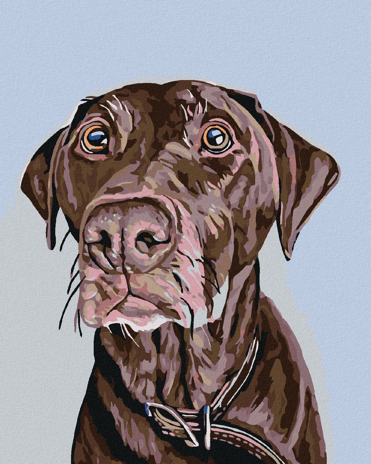 zuty Malování podle čísel - HNĚDÝ PES S HNĚDÝM OBOJKEM - Rozměr: 40x50 cm, Rámování: Varianta: vypnuté plátno na rám - obrázek 1