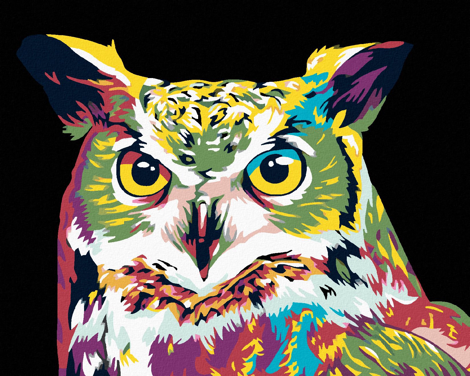 zuty Malování podle čísel - BAREVNÁ SOVA - Rozměr: 40x50 cm, Rámování: Varianta: vypnuté plátno na rám - obrázek 1