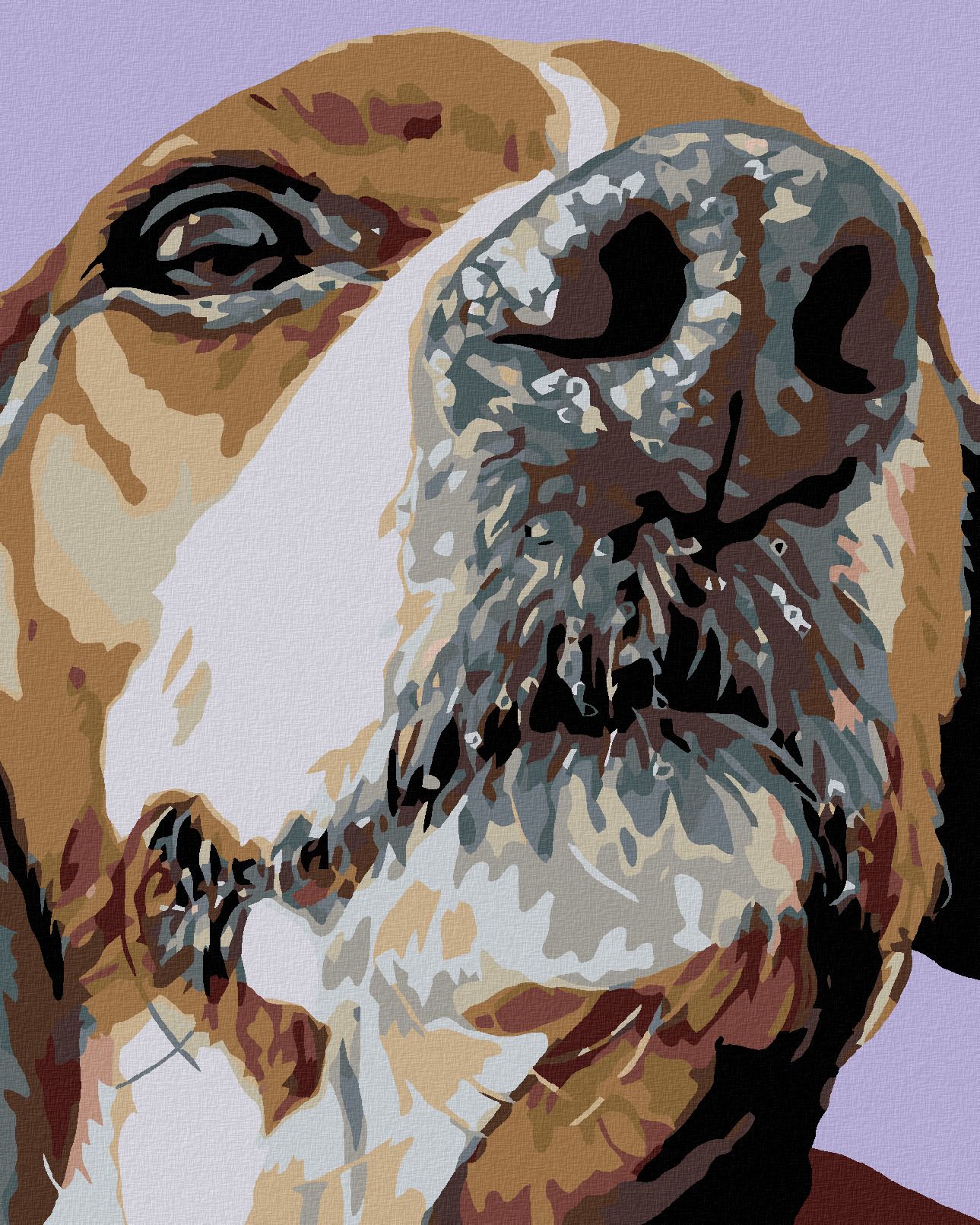 zuty Malování podle čísel - ČUMÁČEK BÍGLA - Rozměr: 40x50 cm, Rámování: Varianta: vypnuté plátno na rám - obrázek 1