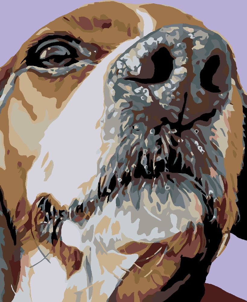 zuty Malování podle čísel - ČUMÁČEK BÍGLA - Rozměr: 40x50 cm, Rámování: Varianta: vypnuté plátno na rám - obrázek 6