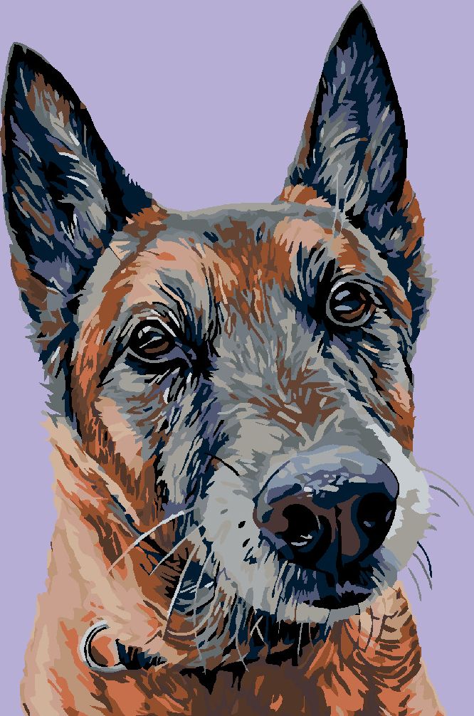 zuty Malování podle čísel - STARÝ VLČÁK - Rozměr: 40x50 cm, Rámování: Varianta: vypnuté plátno na rám - obrázek 3