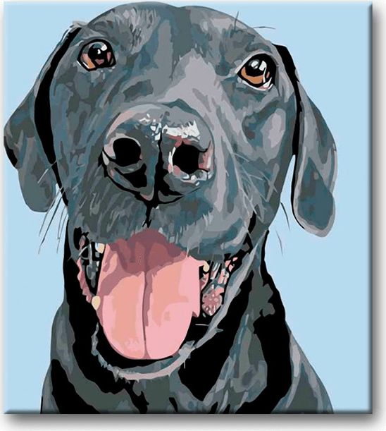 zuty Malování podle čísel - ČERNÝ KRASAVEC - Rozměr: 40x50 cm, Rámování: Varianta: vypnuté plátno na rám - obrázek 13