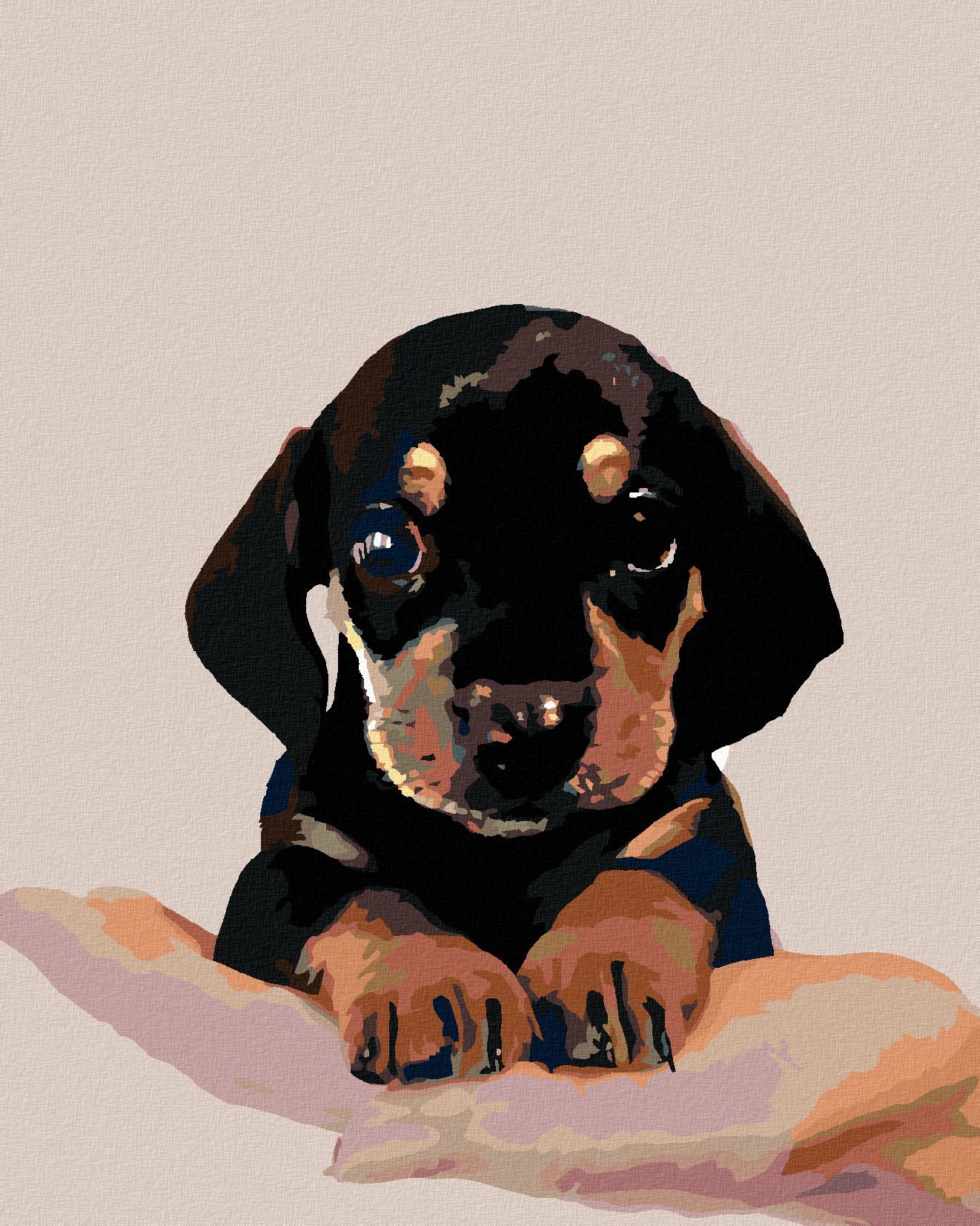 zuty Malování podle čísel - ŠTĚNĚ KRÁTKOSRSTÉHO JEZEVČÍKA - Rozměr: 40x50 cm, Rámování: Varianta: bez rámu a bez vypnutí plátna - obrázek 1