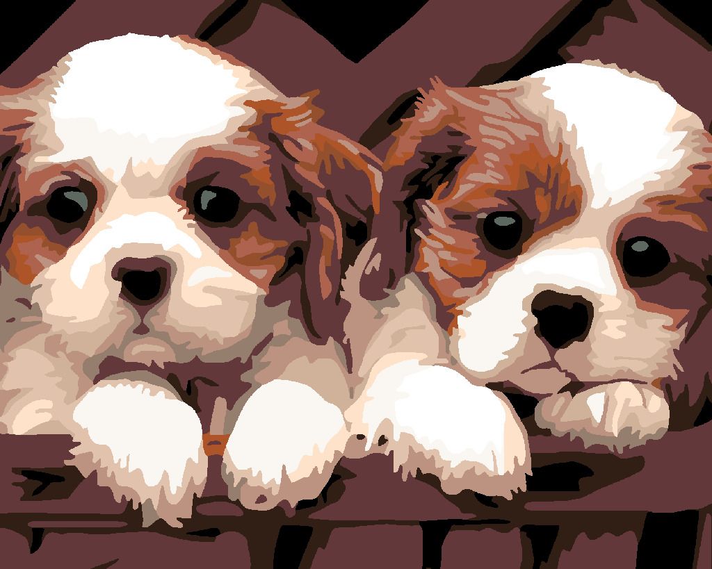 zuty Malování podle čísel - BÍLOHNĚDÁ ŠTĚŇÁTKA - Rozměr: 40x50 cm, Rámování: Varianta: bez rámu a bez vypnutí plátna - obrázek 8