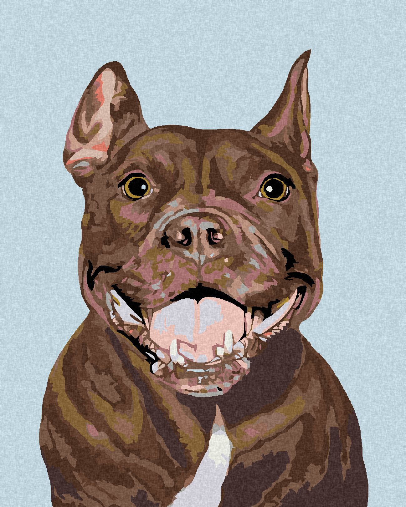 zuty Malování podle čísel - PITBULL - Rozměr: 40x50 cm, Rámování: Varianta: vypnuté plátno na rám - obrázek 1