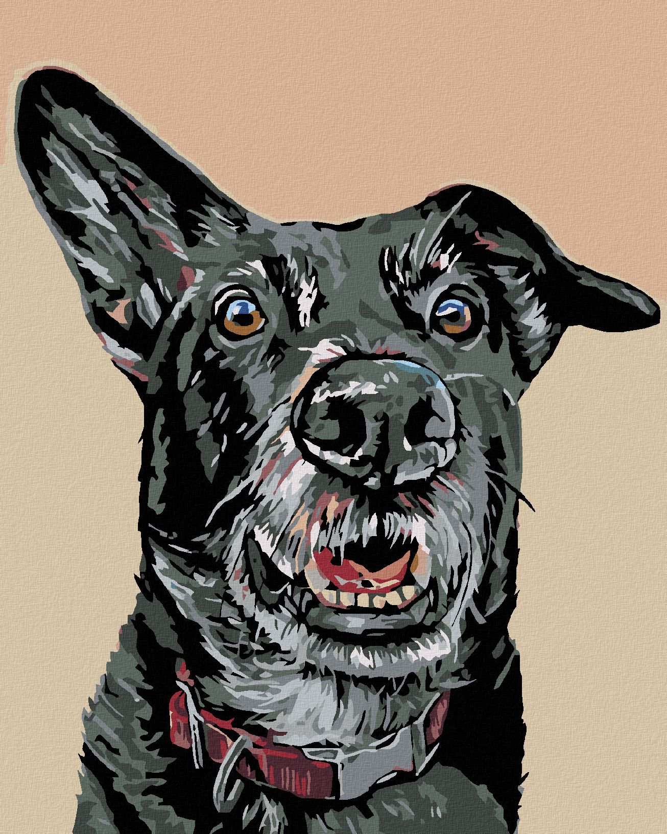 zuty Malování podle čísel - ČERNÝ PES A NASTRAŽENÉ UCHO - Rozměr: 40x50 cm, Rámování: Varianta: vypnuté plátno na rám - obrázek 1