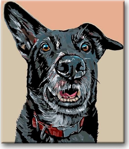 zuty Malování podle čísel - ČERNÝ PES A NASTRAŽENÉ UCHO - Rozměr: 40x50 cm, Rámování: Varianta: vypnuté plátno na rám - obrázek 7