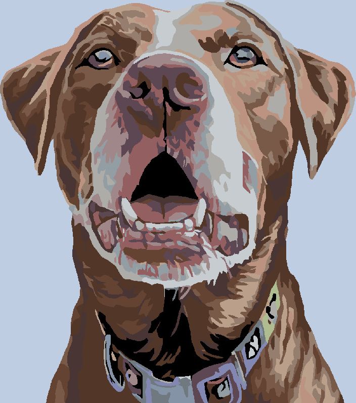 zuty Malování podle čísel - HNĚDÝ LABRADOR - Rozměr: 40x50 cm, Rámování: Varianta: bez rámu a bez vypnutí plátna - obrázek 5