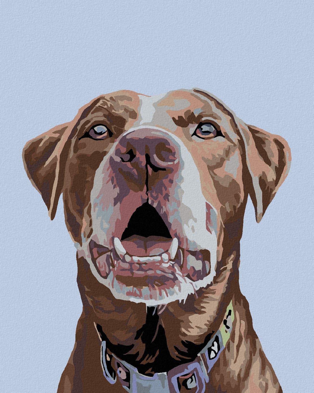 zuty Malování podle čísel - HNĚDÝ LABRADOR - Rozměr: 40x50 cm, Rámování: Varianta: vypnuté plátno na rám - obrázek 1