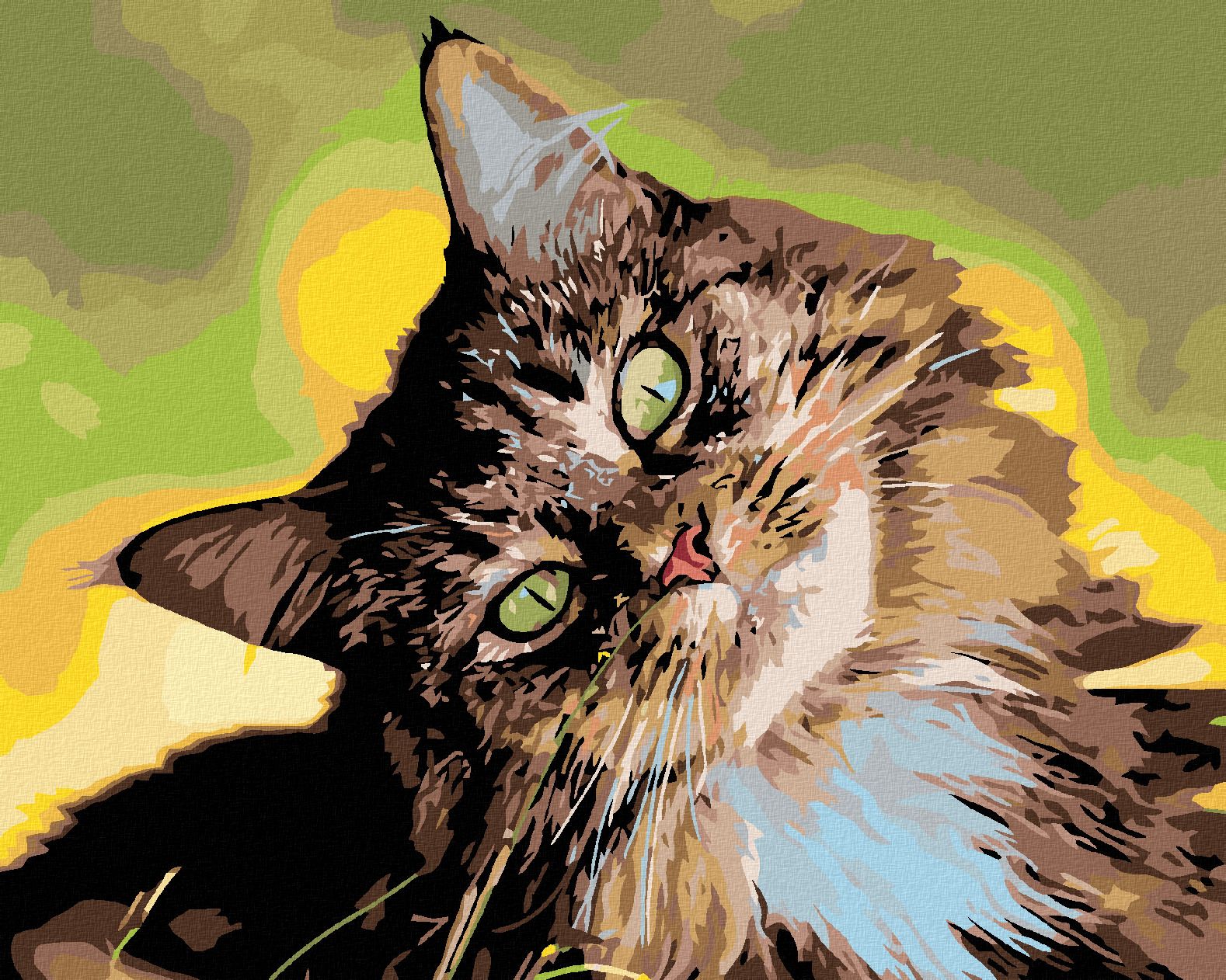 zuty Malování podle čísel - MOUROVATÝ KOCOUR - Rozměr: 40x50 cm, Rámování: Varianta: bez rámu a bez vypnutí plátna - obrázek 1