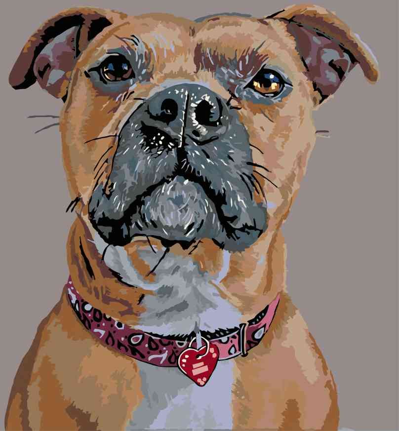 zuty Malování podle čísel - PES V POZORU A SRDÍČKOVÝ OBOJEK - Rozměr: 40x50 cm, Rámování: Varianta: bez rámu a bez vypnutí plátna - obrázek 14