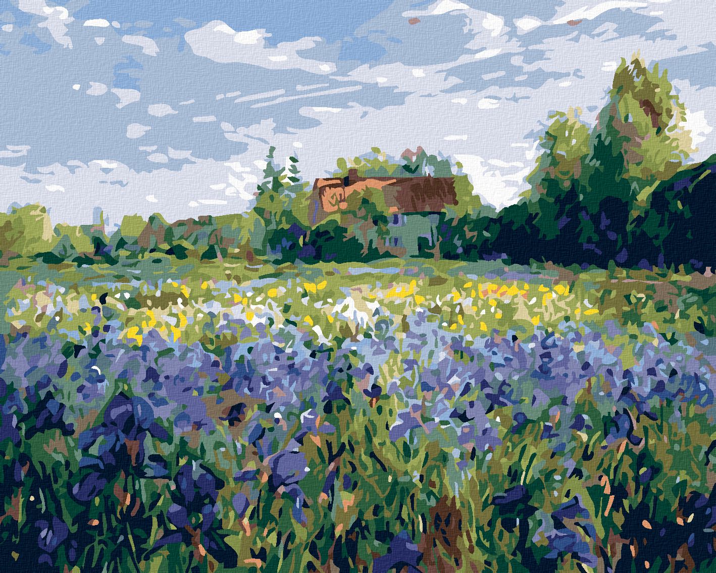zuty Malování podle čísel - DŮM NA VENKOVĚ - Rozměr: 40x50 cm, Rámování: Varianta: bez rámu a bez vypnutí plátna - obrázek 1
