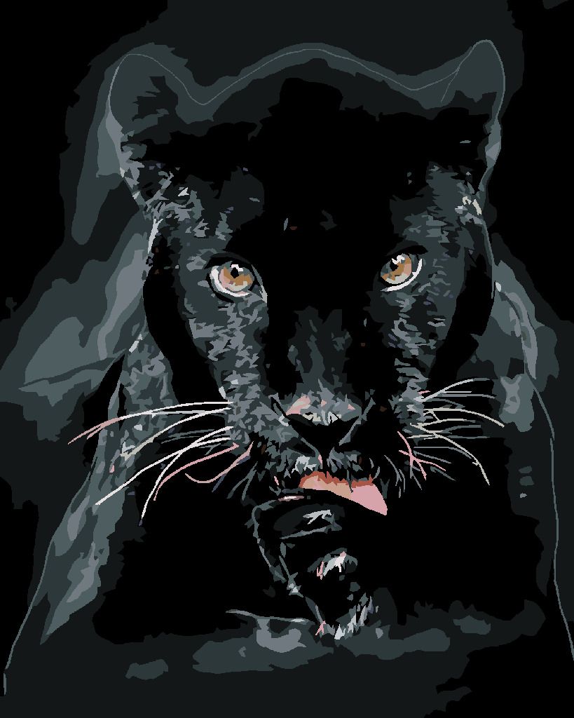 zuty Malování podle čísel - ČERNÁ PUMA - Rozměr: 40x50 cm, Rámování: Varianta: vypnuté plátno na rám - obrázek 7