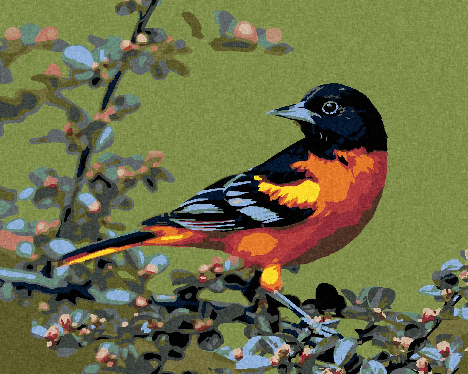 zuty Malování podle čísel - KARDINÁL ČERNOHLAVÝ - Rozměr: 40x50 cm, Rámování: Varianta: vypnuté plátno na rám - obrázek 1
