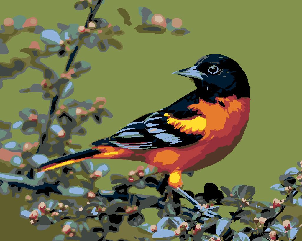 zuty Malování podle čísel - KARDINÁL ČERNOHLAVÝ - Rozměr: 40x50 cm, Rámování: Varianta: vypnuté plátno na rám - obrázek 2