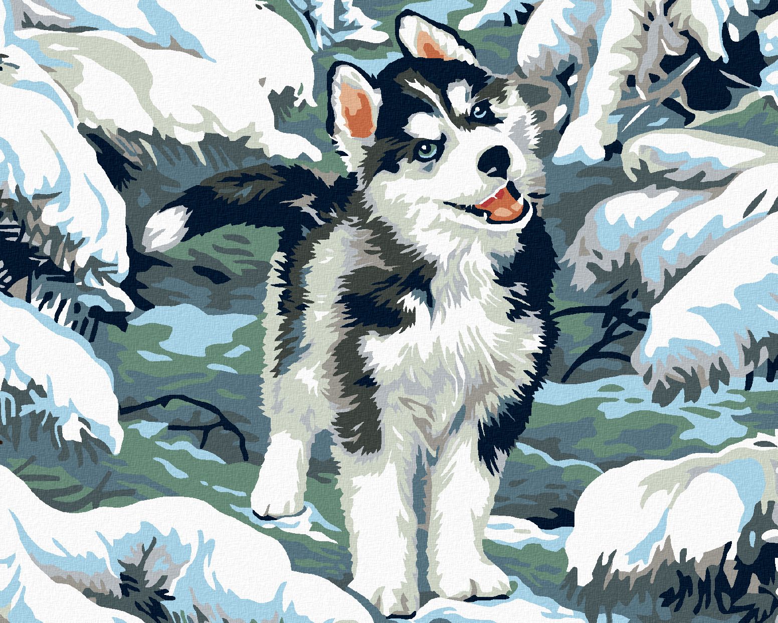 zuty Malování podle čísel - MALÝ HUSKY - Rozměr: 40x50 cm, Rámování: Varianta: bez rámu a bez vypnutí plátna - obrázek 1