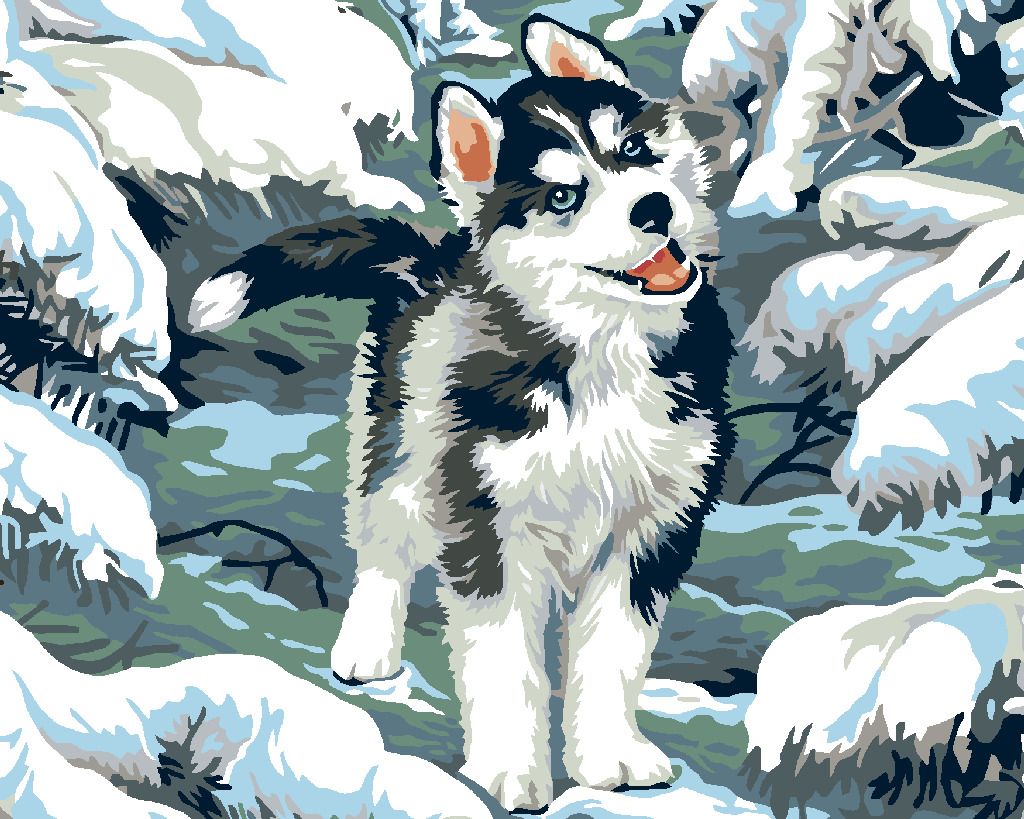 zuty Malování podle čísel - MALÝ HUSKY - Rozměr: 40x50 cm, Rámování: Varianta: bez rámu a bez vypnutí plátna - obrázek 7