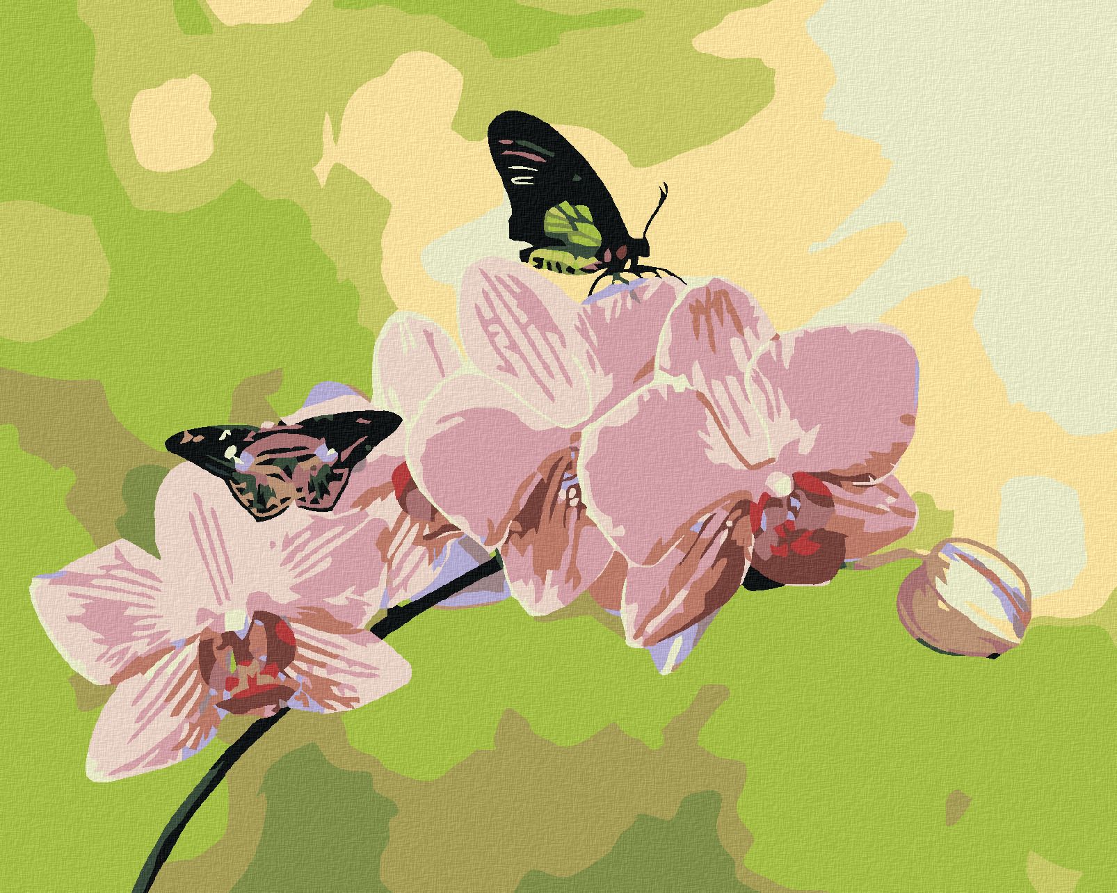 zuty Malování podle čísel - ORCHIDEJ S MOTÝLKY - Rozměr: 40x50 cm, Rámování: Varianta: vypnuté plátno na rám - obrázek 1