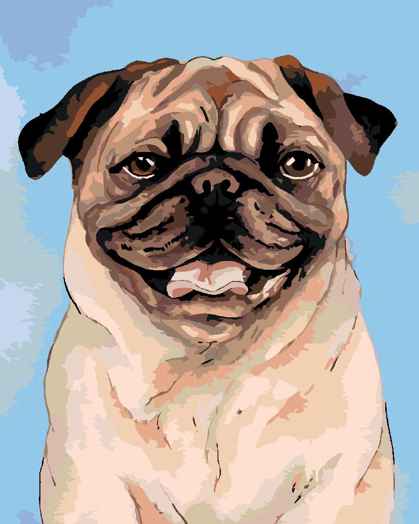zuty Malování podle čísel - HNĚDÝ MOPSÍK - Rozměr: 40x50 cm, Rámování: Varianta: bez rámu a bez vypnutí plátna - obrázek 2
