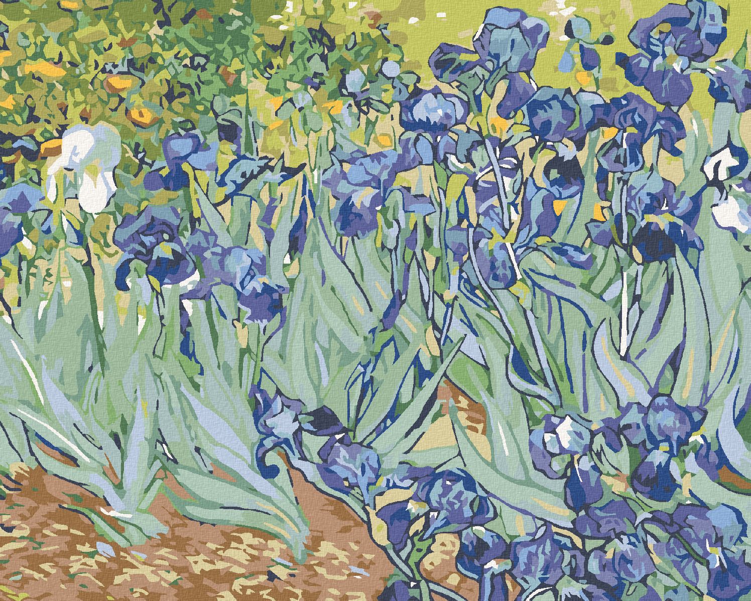 zuty Malování podle čísel - KOSATCE (VAN GOGH) - Rozměr: 40x50 cm, Rámování: Varianta: vypnuté plátno na rám - obrázek 1