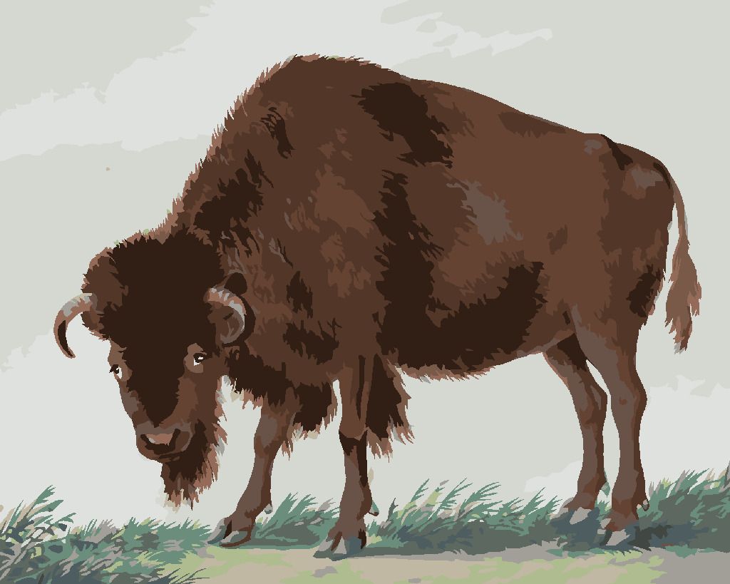 zuty Malování podle čísel - BIZON (I. VAN HAASTERT) - Rozměr: 40x50 cm, Rámování: Varianta: bez rámu a bez vypnutí plátna - obrázek 7