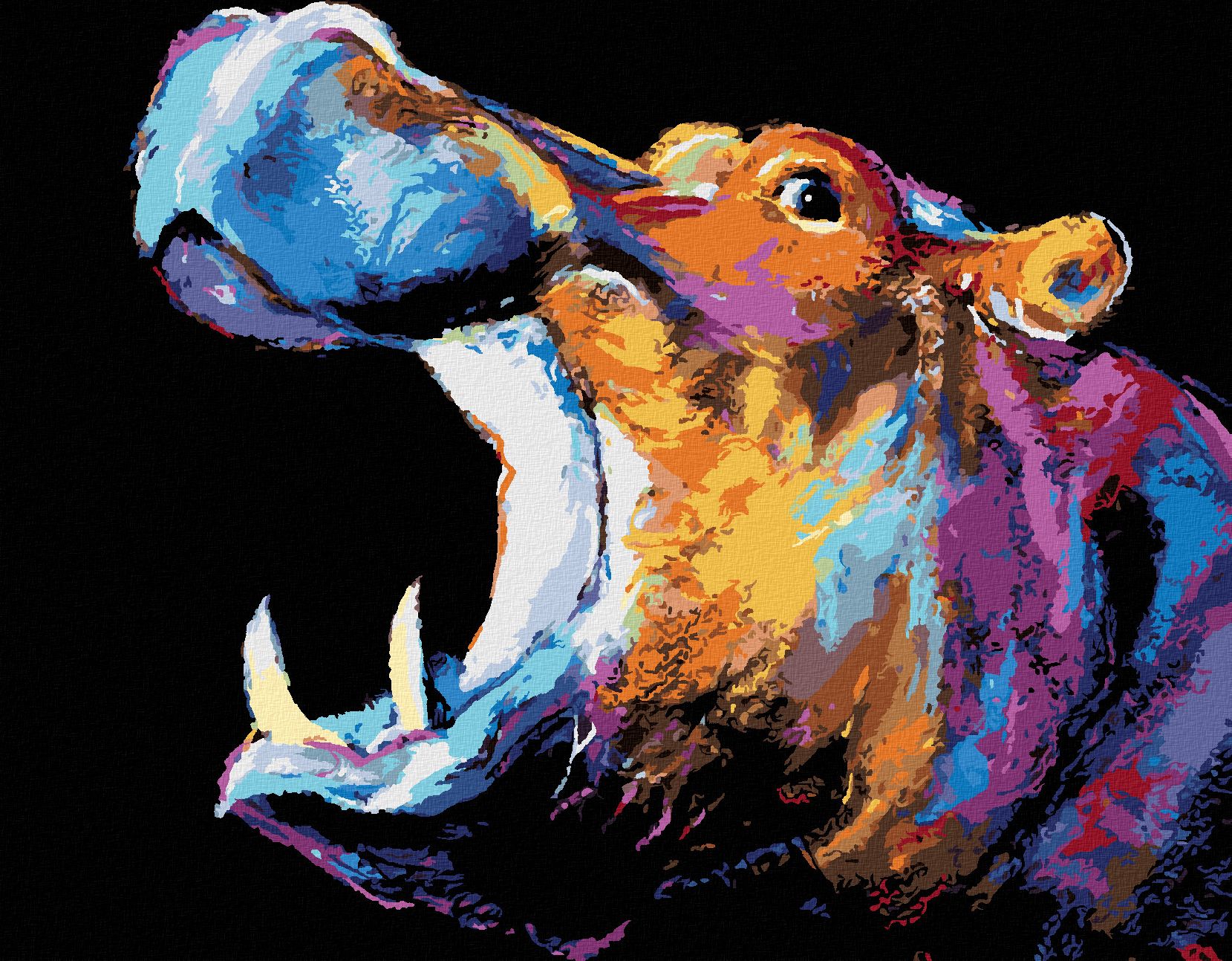 zuty Malování podle čísel - BAREVNÝ HROCH II - Rozměr: 40x50 cm, Rámování: Varianta: vypnuté plátno na rám - obrázek 1
