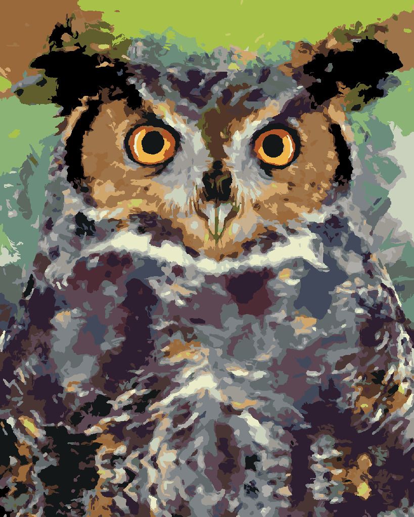 zuty Malování podle čísel - BAREVNÁ SOVA II - Rozměr: 40x50 cm, Rámování: Varianta: bez rámu a bez vypnutí plátna - obrázek 5