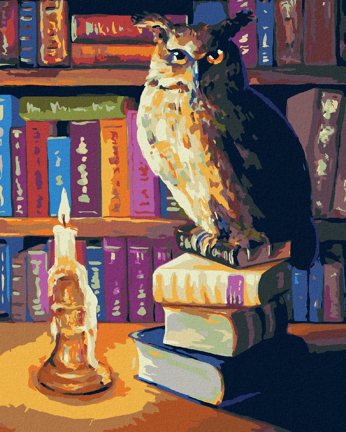 zuty Malování podle čísel - SOVA S KNIHAMI - Rozměr: 40x50 cm, Rámování: Varianta: vypnuté plátno na rám - obrázek 2
