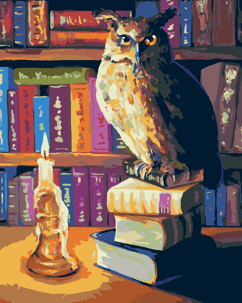 zuty Malování podle čísel - SOVA S KNIHAMI - Rozměr: 40x50 cm, Rámování: Varianta: vypnuté plátno na rám - obrázek 19