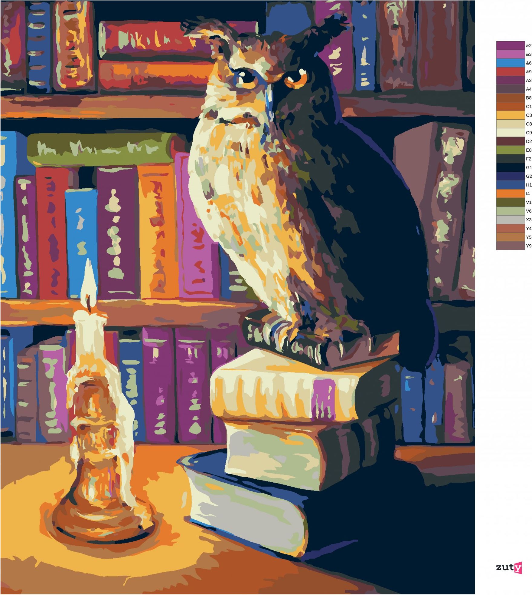 zuty Malování podle čísel - SOVA S KNIHAMI - Rozměr: 40x50 cm, Rámování: Varianta: vypnuté plátno na rám - obrázek 3