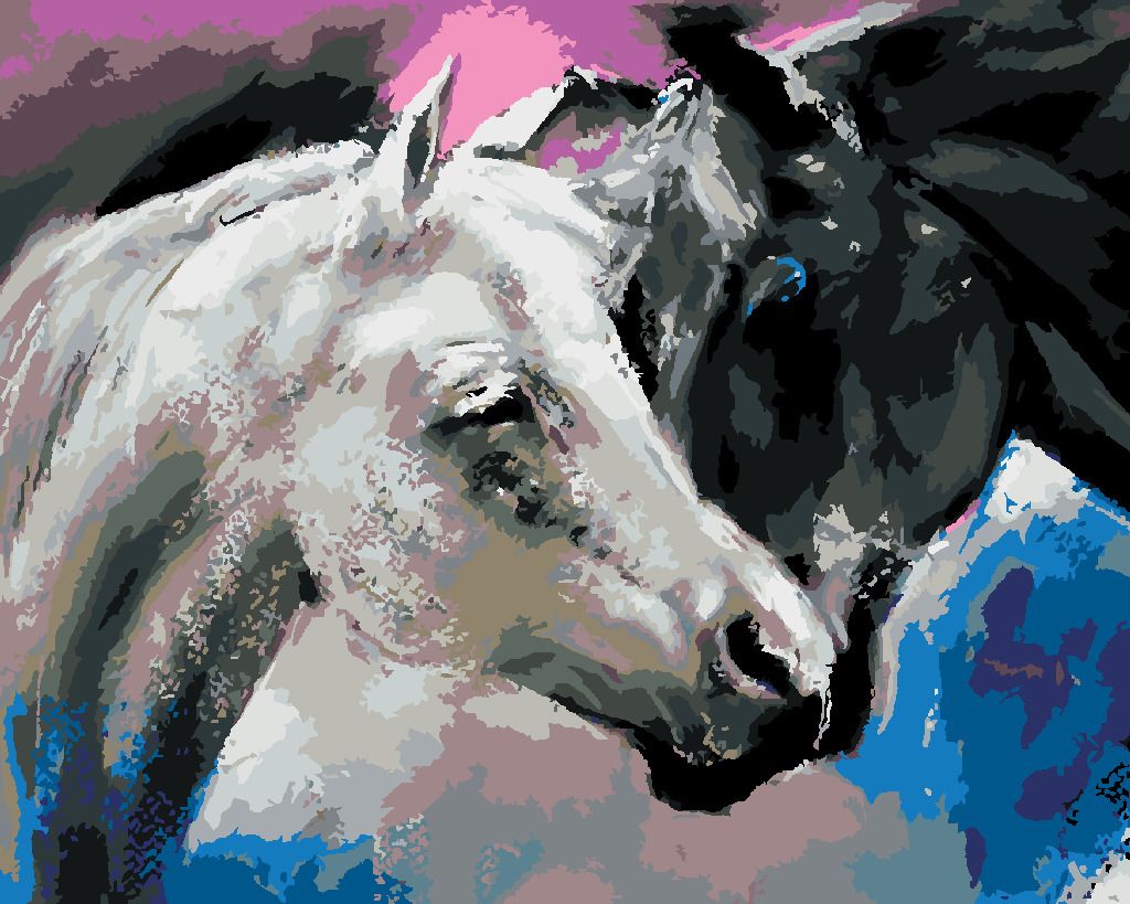 zuty Malování podle čísel - ČERNÝ A BÍLÝ KŮŇ - Rozměr: 40x50 cm, Rámování: Varianta: bez rámu a bez vypnutí plátna - obrázek 19