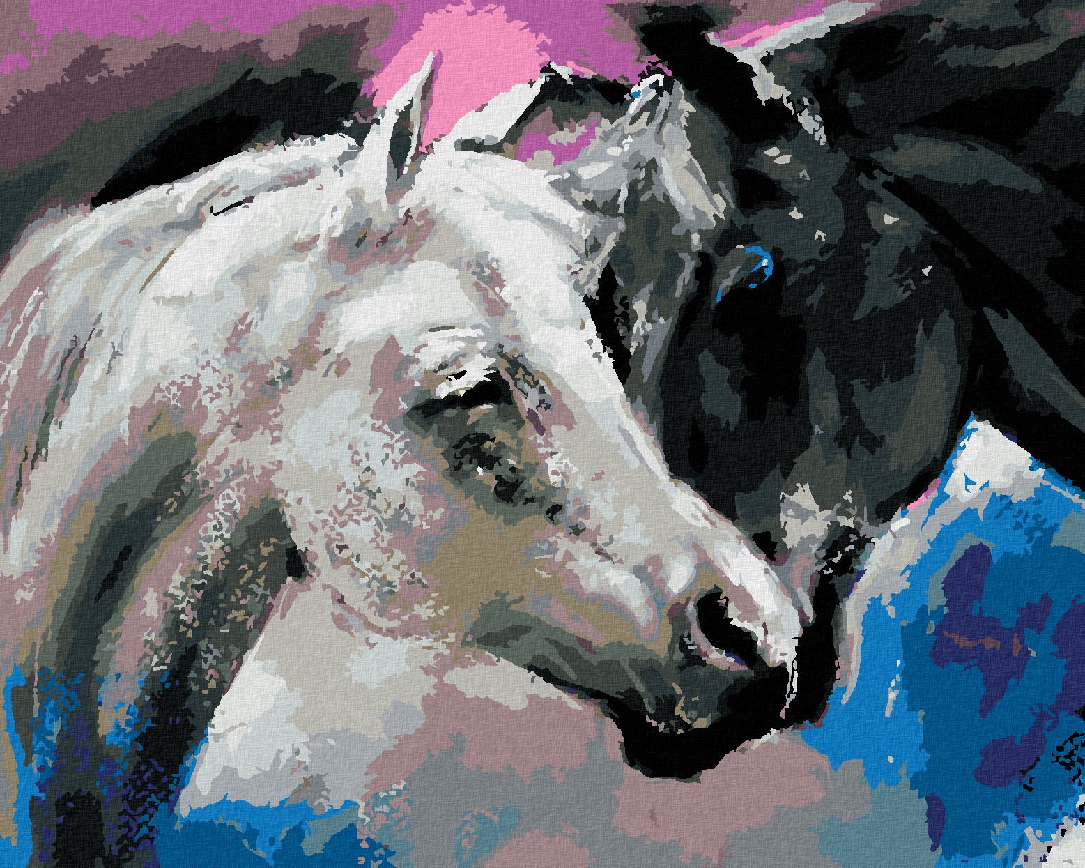 zuty Malování podle čísel - ČERNÝ A BÍLÝ KŮŇ - Rozměr: 40x50 cm, Rámování: Varianta: vypnuté plátno na rám - obrázek 1