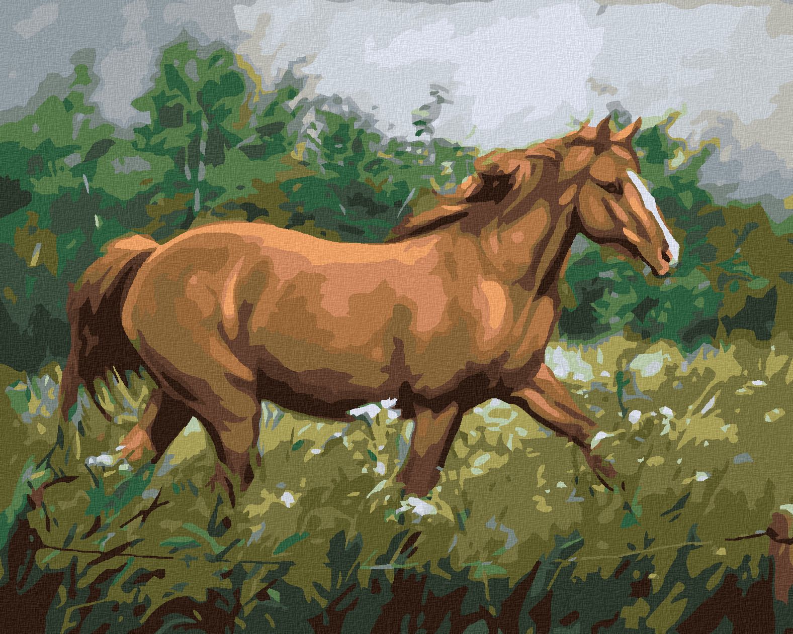 zuty Malování podle čísel - HNĚDÝ KŮŇ NA PASTVĚ U LESA - Rozměr: 40x50 cm, Rámování: Varianta: bez rámu a bez vypnutí plátna - obrázek 1