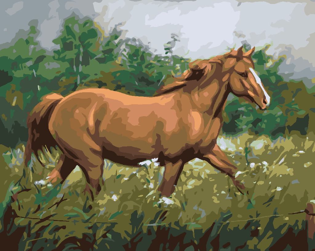 zuty Malování podle čísel - HNĚDÝ KŮŇ NA PASTVĚ U LESA - Rozměr: 40x50 cm, Rámování: Varianta: bez rámu a bez vypnutí plátna - obrázek 2
