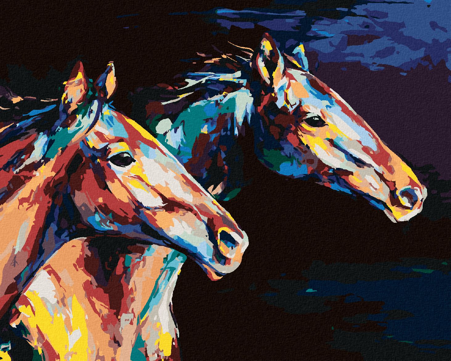 zuty Malování podle čísel - DVA BAREVNÍ KONĚ V BĚHU - Rozměr: 40x50 cm, Rámování: Varianta: bez rámu a bez vypnutí plátna - obrázek 1