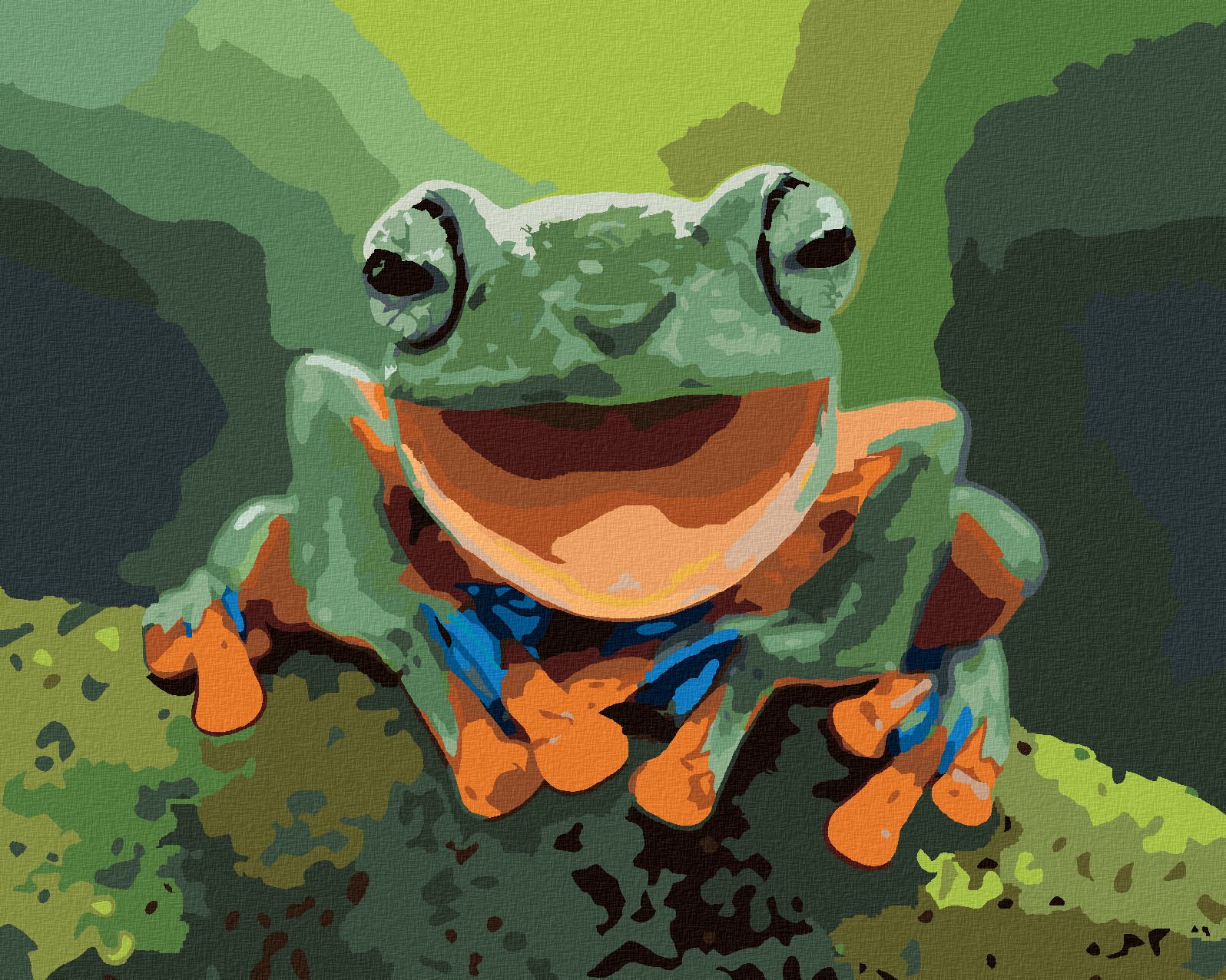 zuty Malování podle čísel - SMĚJÍCÍ SE ŽÁBA - Rozměr: 40x50 cm, Rámování: Varianta: bez rámu a bez vypnutí plátna - obrázek 1
