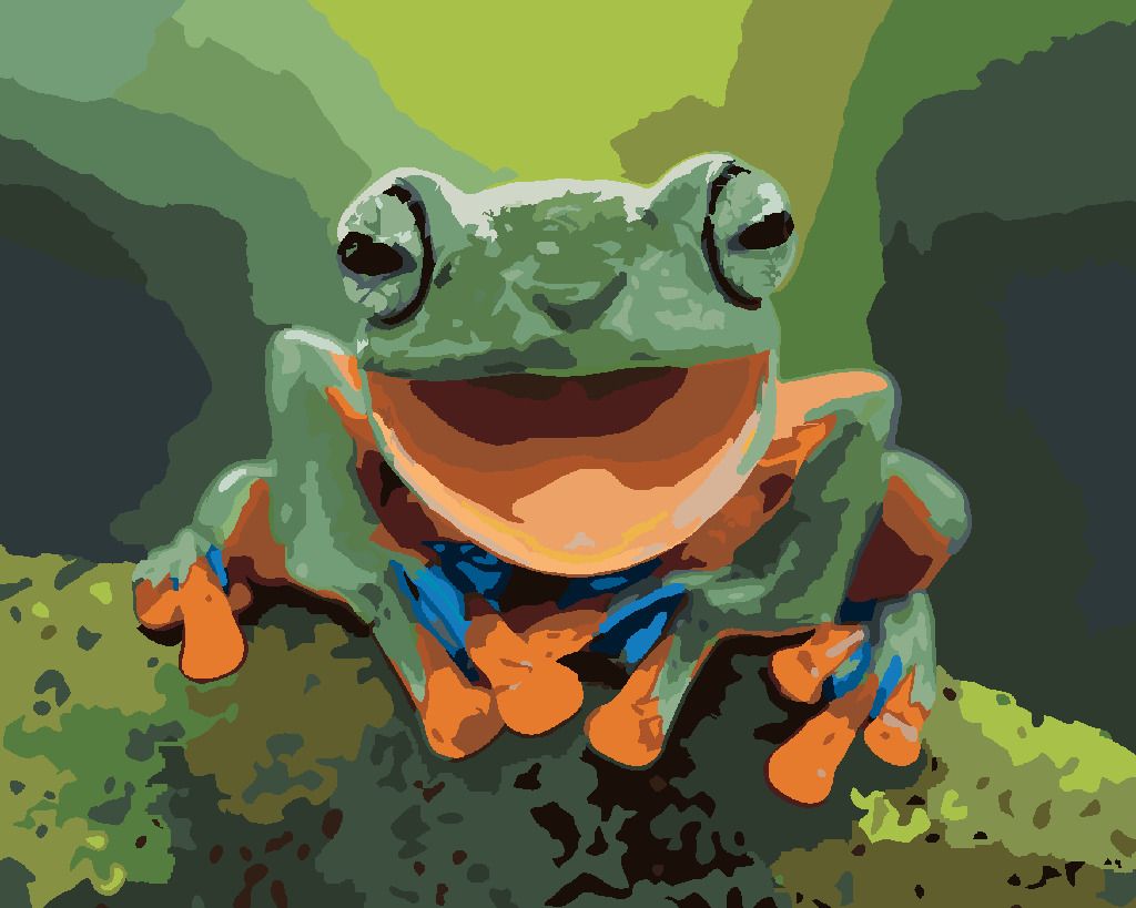 zuty Malování podle čísel - SMĚJÍCÍ SE ŽÁBA - Rozměr: 40x50 cm, Rámování: Varianta: bez rámu a bez vypnutí plátna - obrázek 9