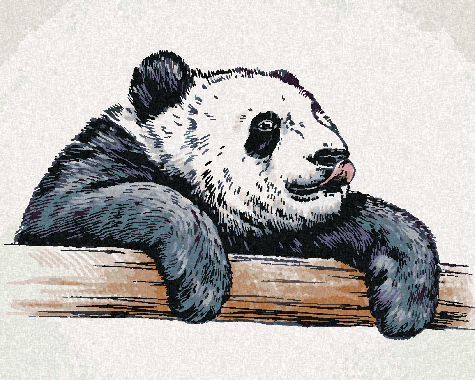 zuty Malování podle čísel - OLIZUJÍCÍ SE PANDA - Rozměr: 40x50 cm, Rámování: Varianta: bez rámu a bez vypnutí plátna - obrázek 1