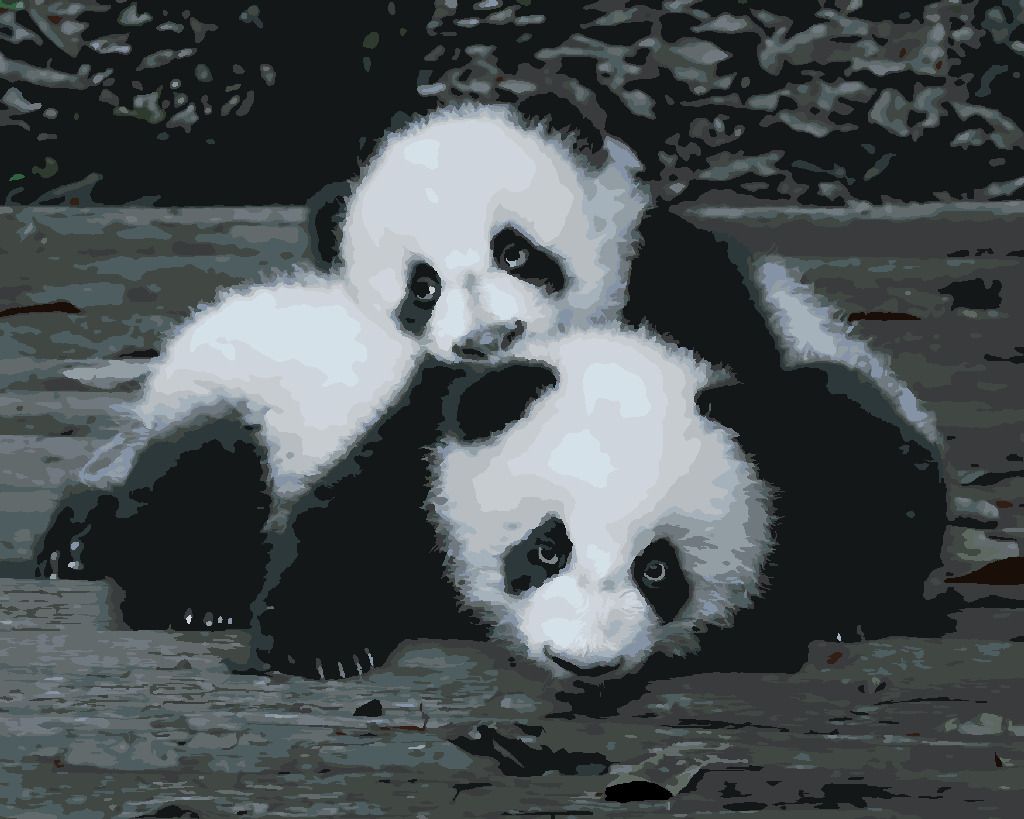 zuty Malování podle čísel - PANDY V ZOO - Rozměr: 40x50 cm, Rámování: Varianta: vypnuté plátno na rám - obrázek 7