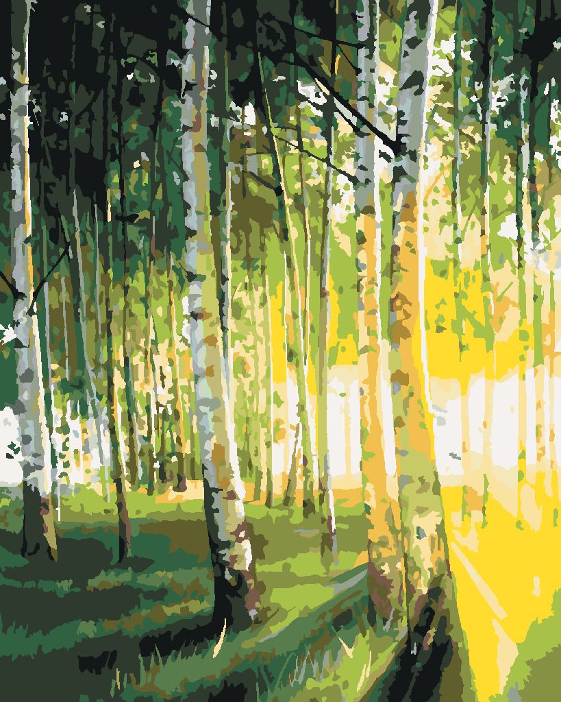 zuty Malování podle čísel - BŘÍZY V PROSVĚTLENÉM LESE - Rozměr: 40x50 cm, Rámování: Varianta: vypnuté plátno na rám - obrázek 5