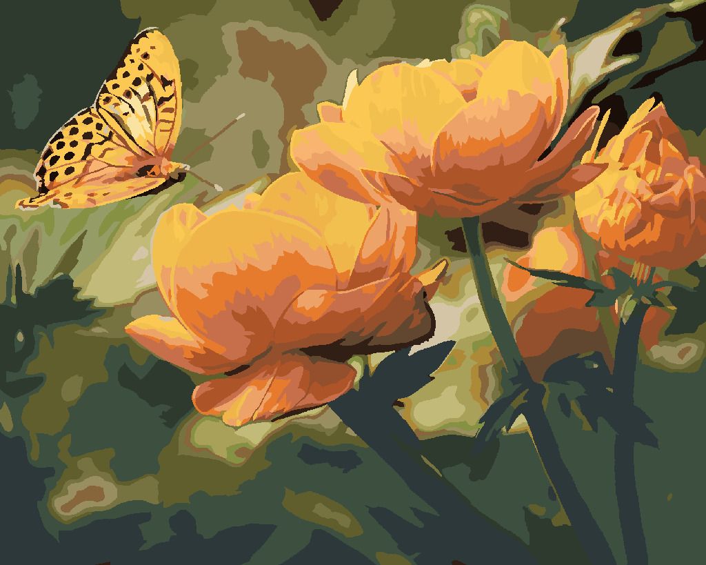 zuty Malování podle čísel - MOTÝL A ORANŽOVĚ KVĚTINY - Rozměr: 40x50 cm, Rámování: Varianta: vypnuté plátno na rám - obrázek 4