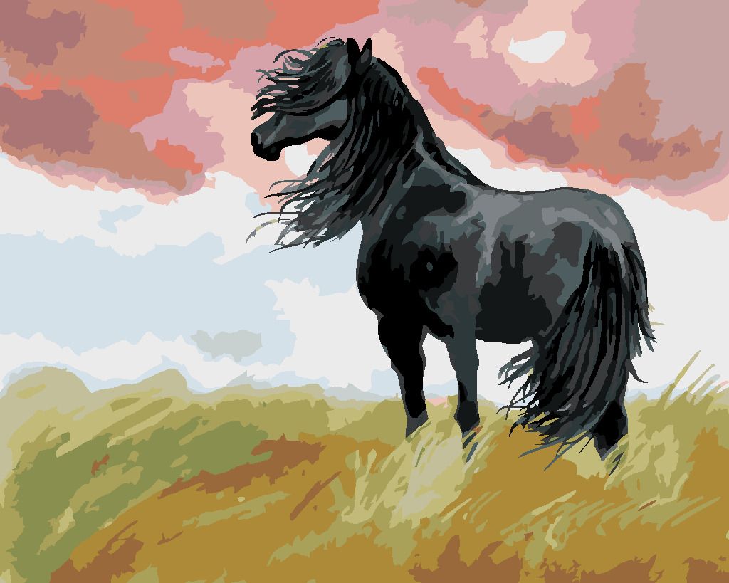 zuty Malování podle čísel - ČERNÝ KŮŇ NA LOUCE - Rozměr: 40x50 cm, Rámování: Varianta: bez rámu a bez vypnutí plátna - obrázek 6